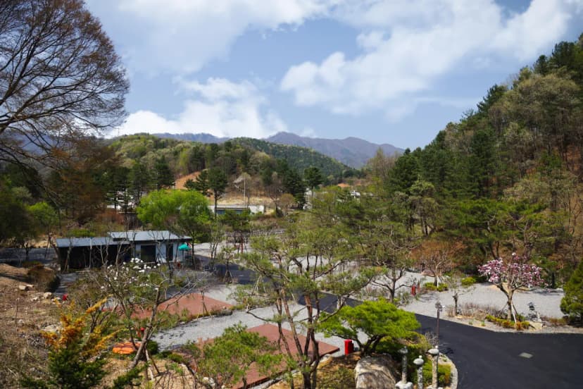 THE BON(더 본) 사진 6