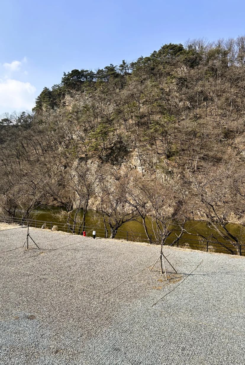 숲이야 캠핑장 사진 9