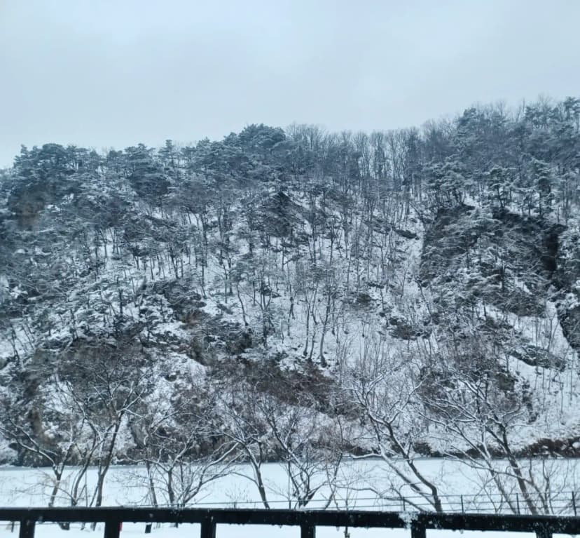 숲이야 캠핑장 사진 10