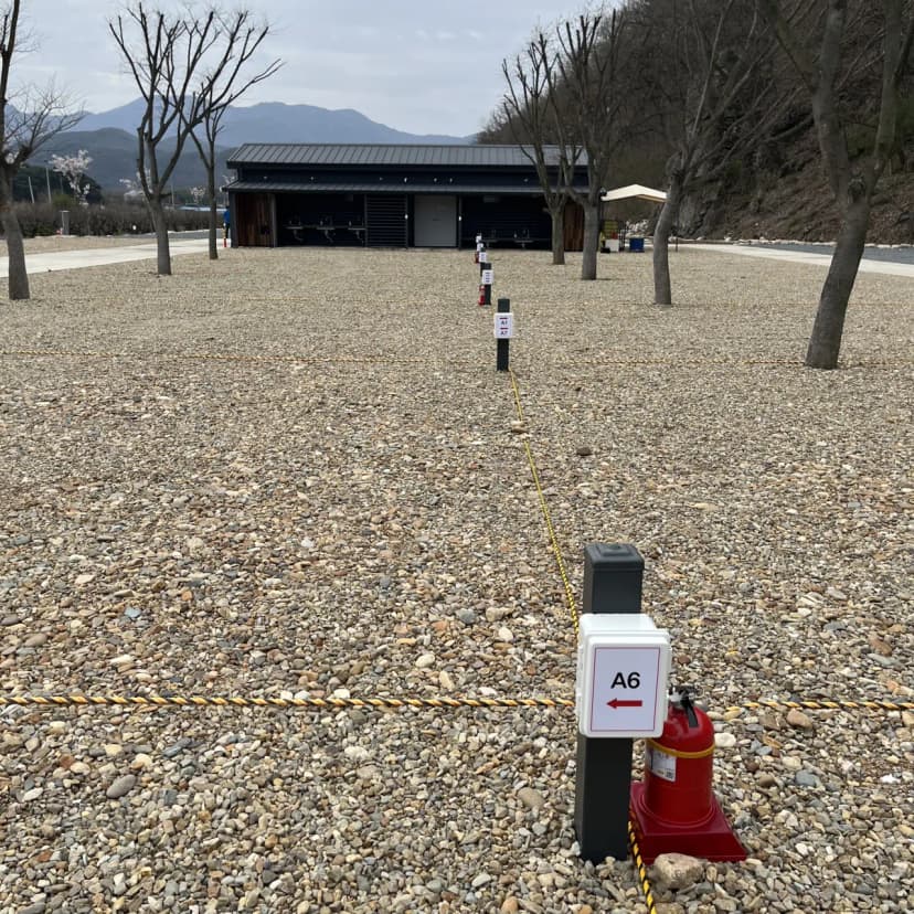 은광디미 사진 10