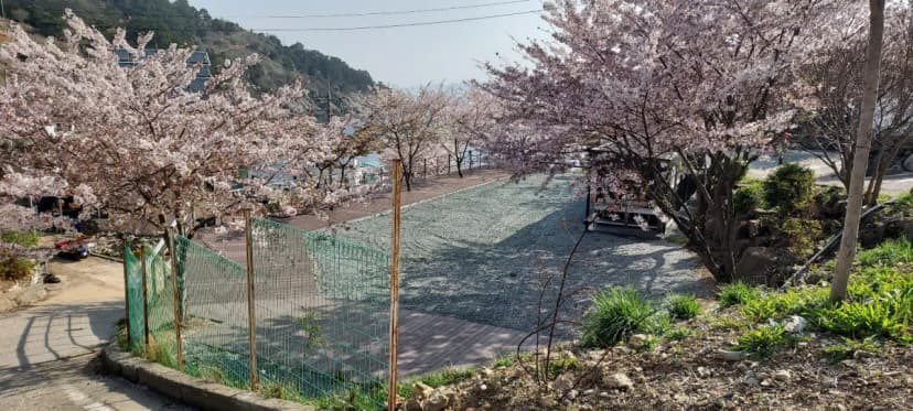 해양대국 사진 6