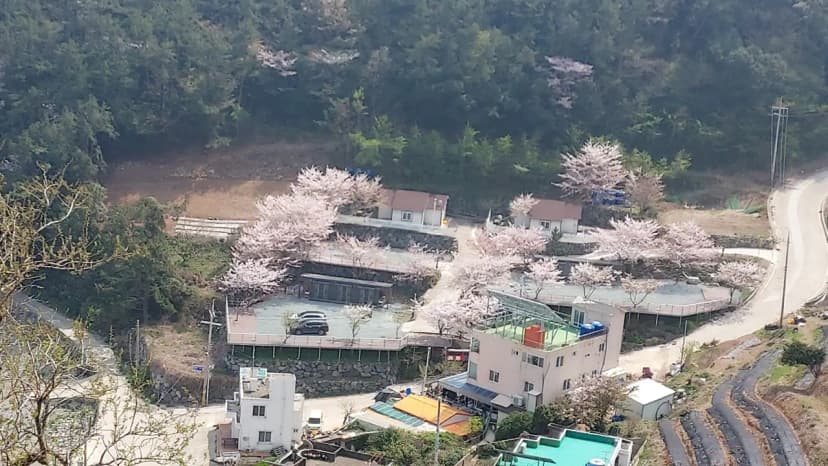 해양대국 사진 8