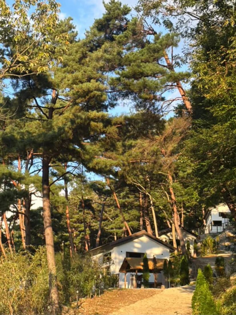 은하수 리조트