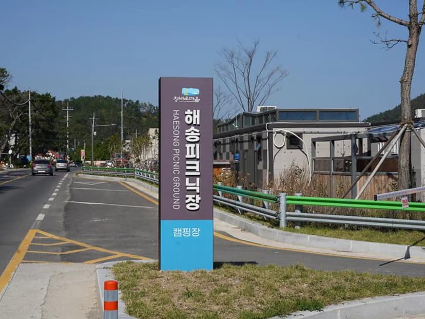 창바우마을 해송피크닉장 사진 2