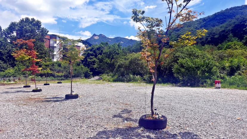 SOL Camping 사진 20