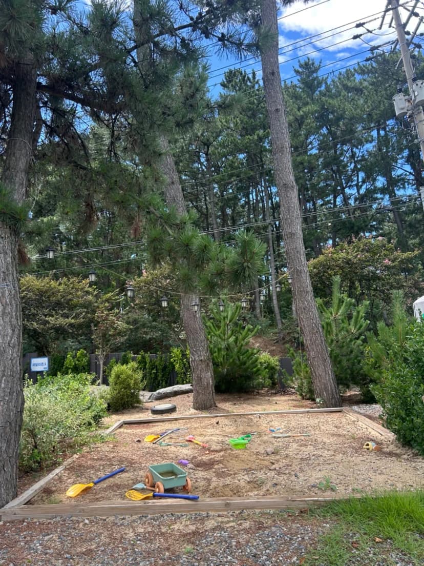 별빛갯벌캠핑장 사진 13