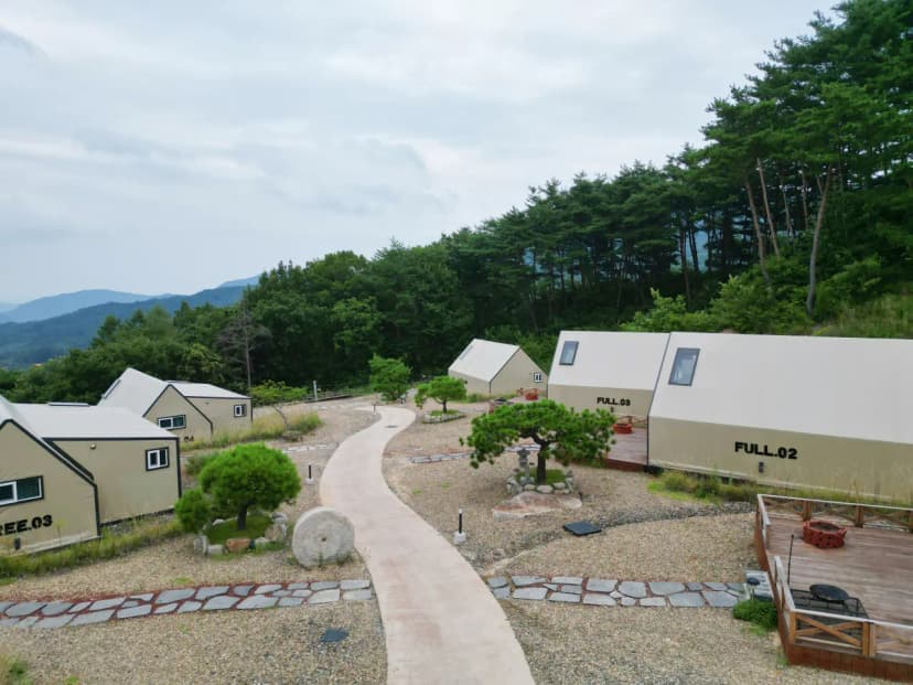 트리풀(treefull) 사진 7
