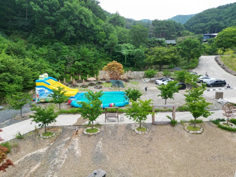 트리풀(treefull) 사진 8