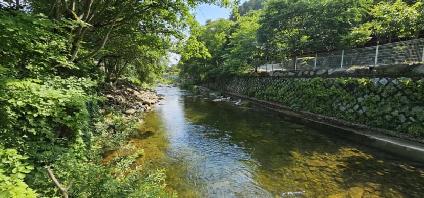계곡에풍덩펜션캠핑장 사진 21