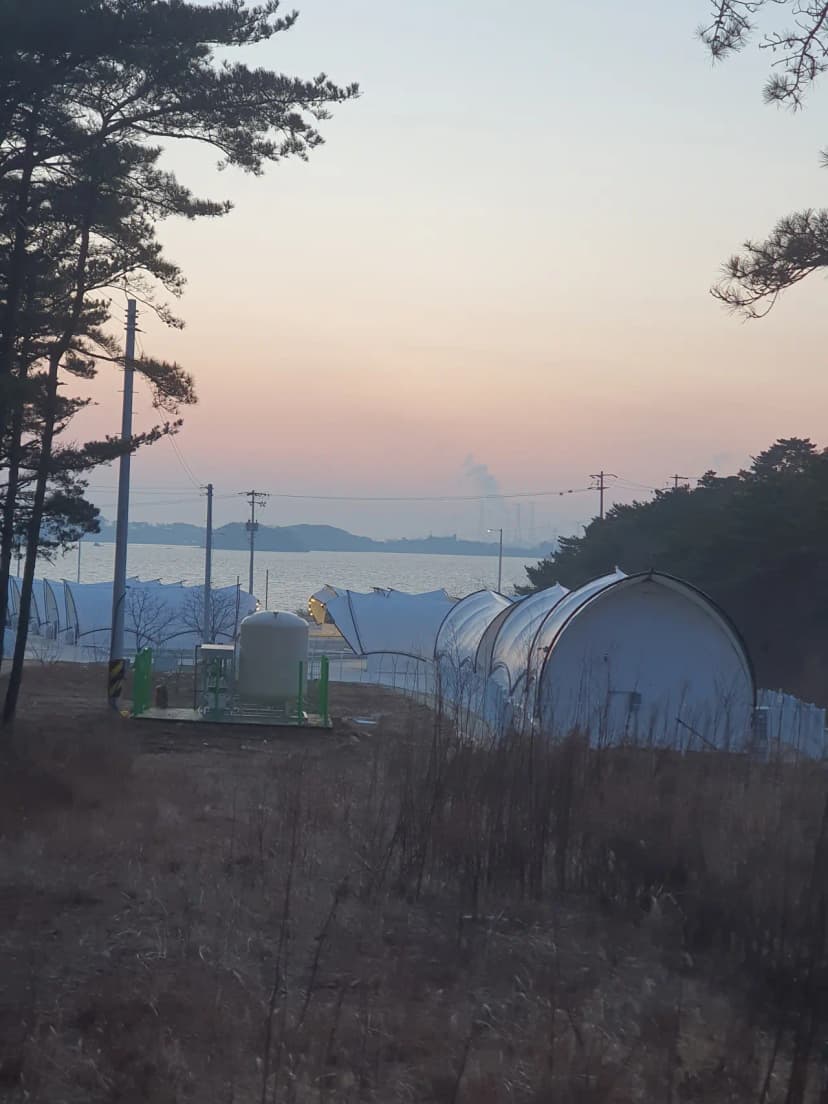 골드 오션 글램핑 사진 12