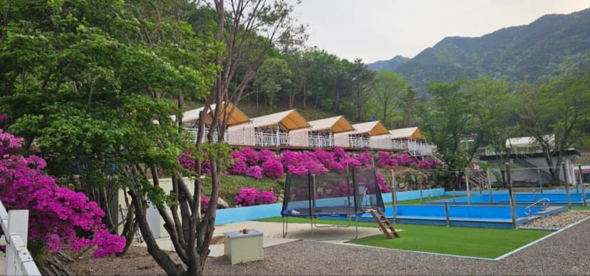 산청프리미엄캠핑장 사진 14