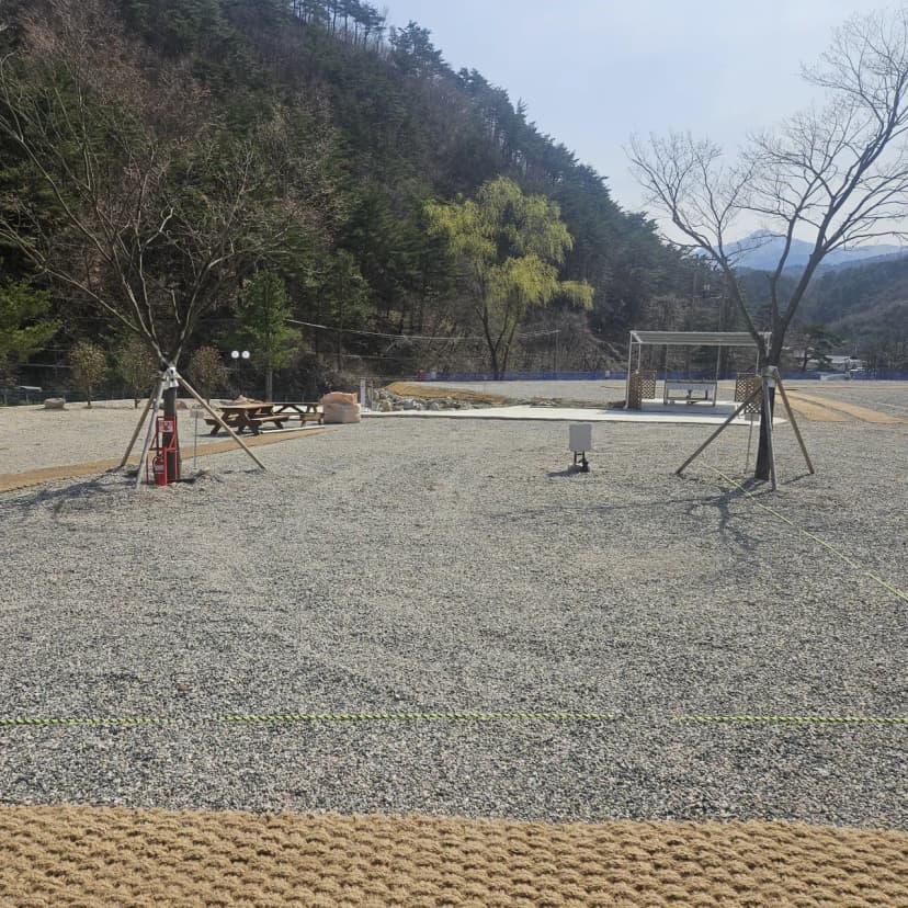 별비담캠핑장 사진 4
