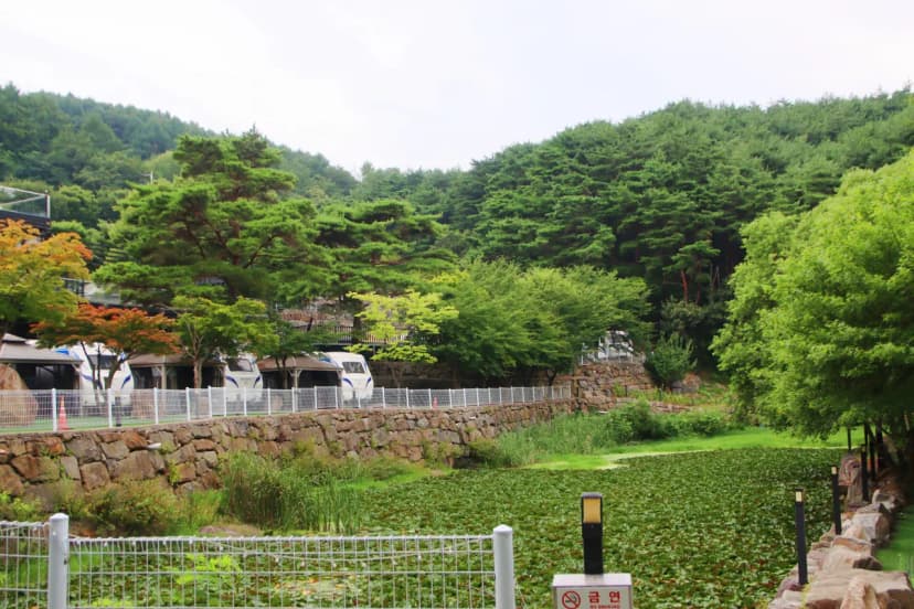 80포레스트카라반캠프 사진 13