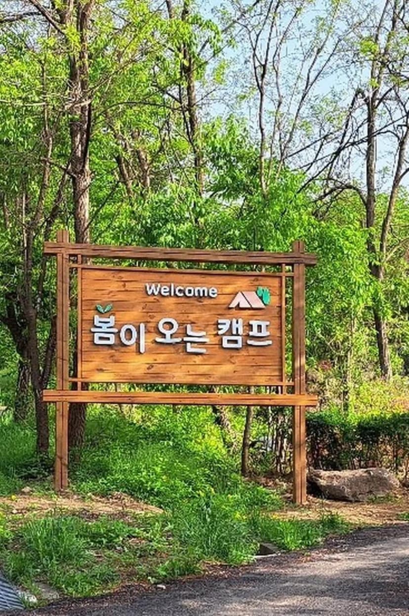 봄이오는 캠프 사진 2