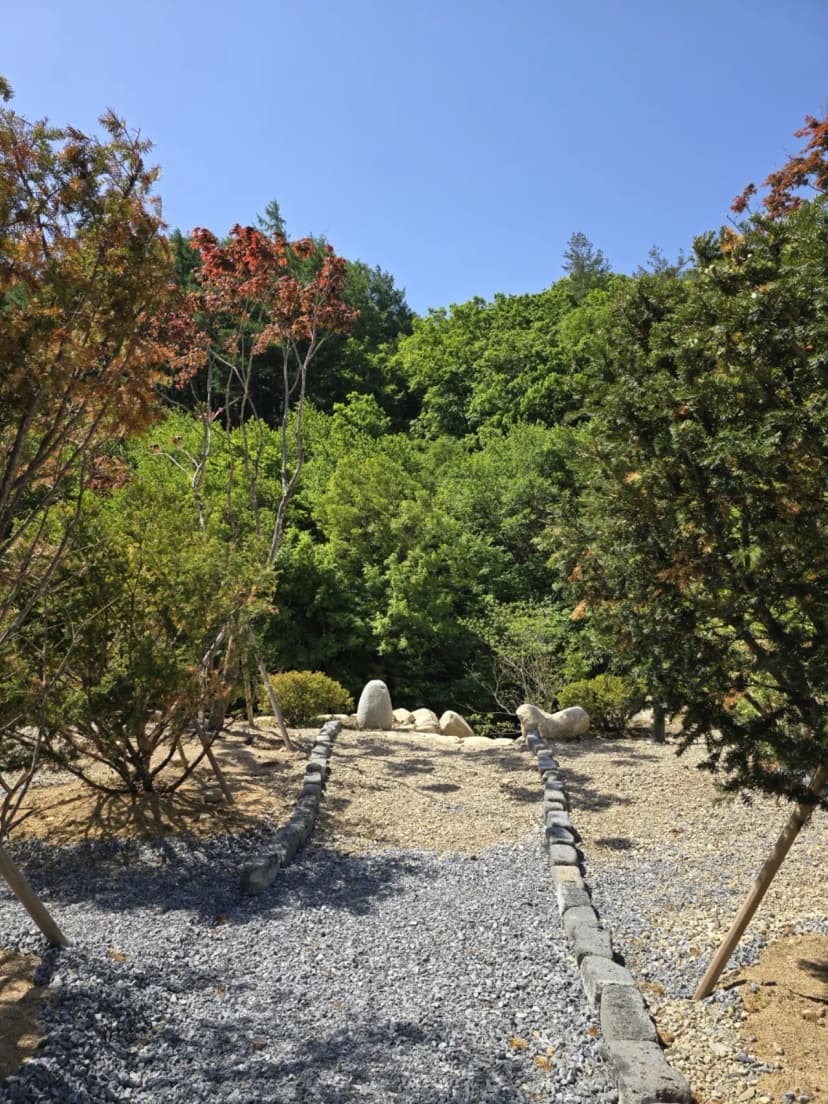 평창 별내림계곡캠핑장 사진 5