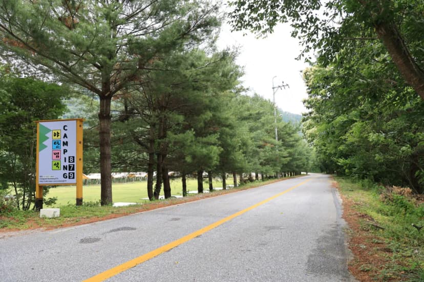 야단법석 사진 4