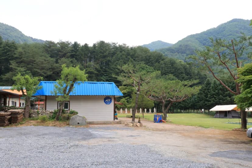 야단법석 사진 5