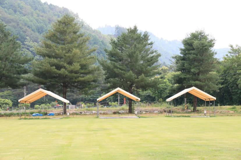 야단법석 사진 15