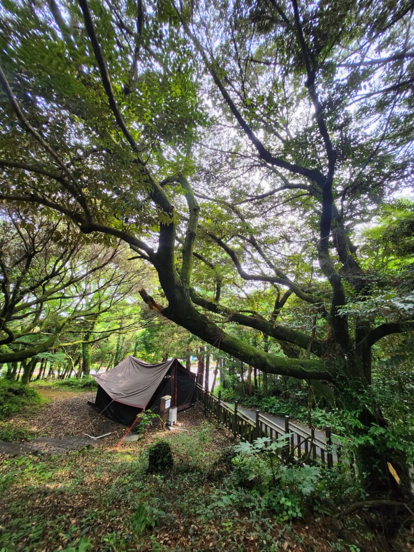 돈내코 야영장 사진 5