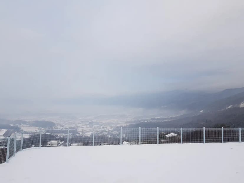 춘천 금병산 캠핑장 사진 7