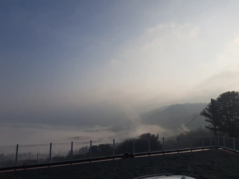 춘천 금병산 캠핑장 사진 11