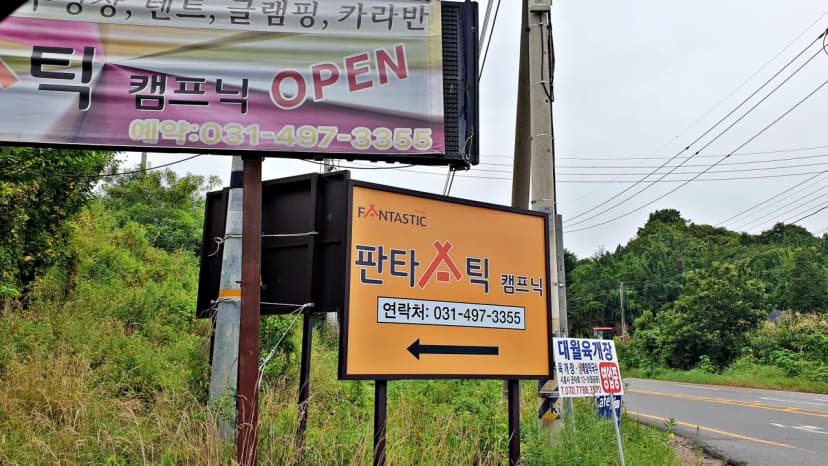 판타스틱 캠프닉 사진 4