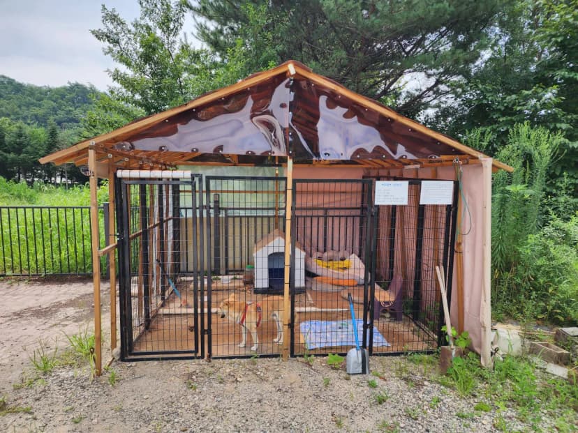 인더풀 글램핑 사진 21