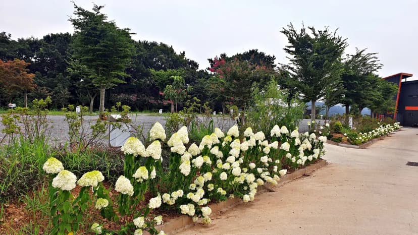 노을빛바다 캠핑장B 사진 16