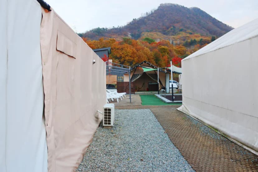 망고땡 글램핑 사진 16