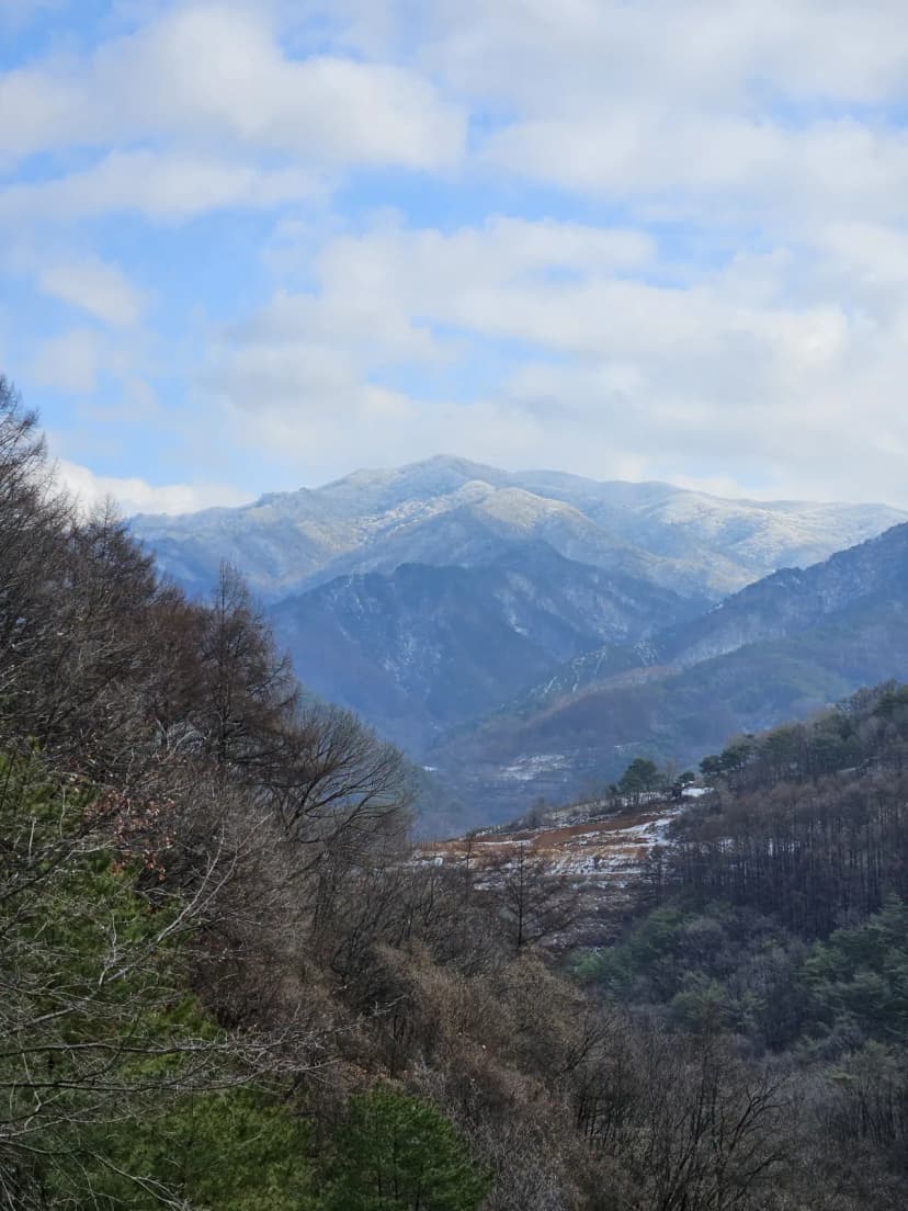 단양 도담캠핑장 사진 6