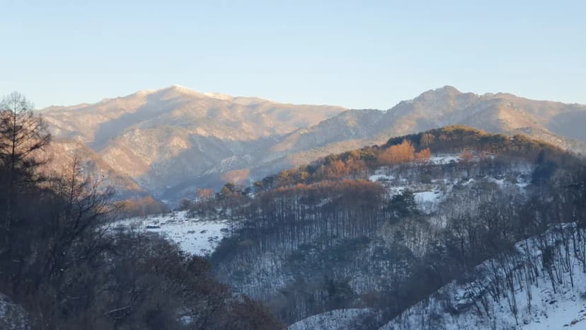 단양 도담캠핑장 사진 7