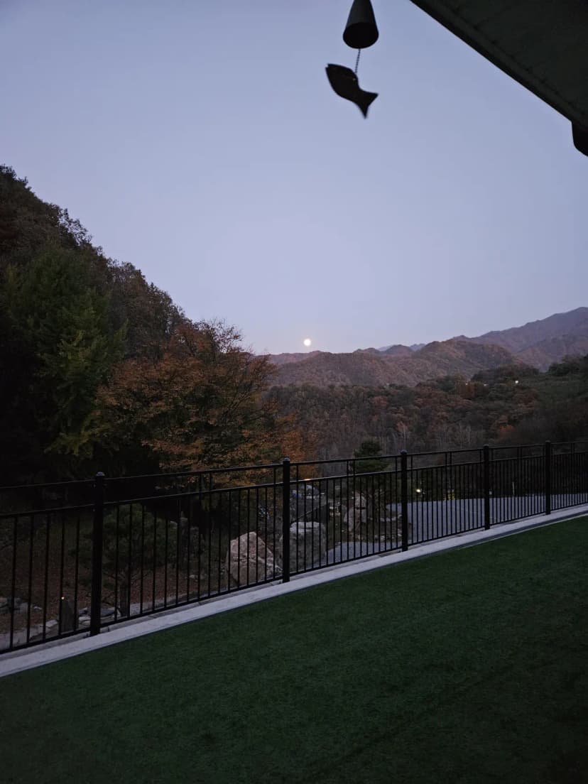 단양 도담캠핑장 사진 8
