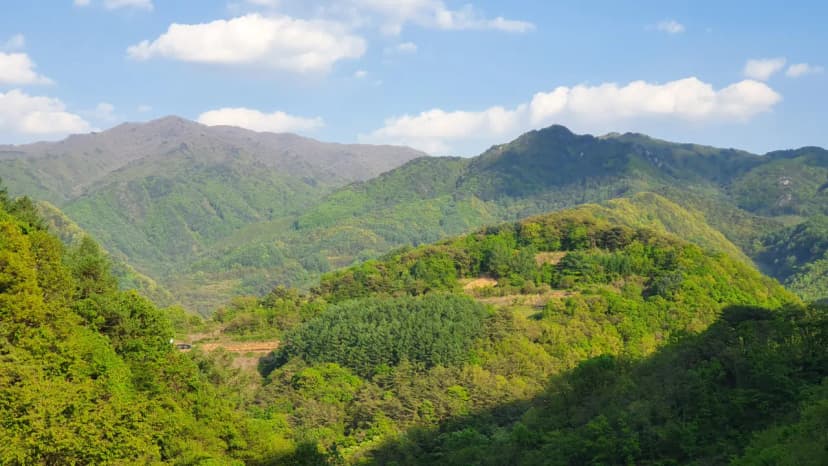 단양 도담캠핑장 사진 10