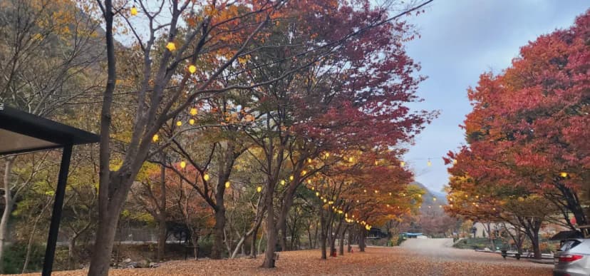 이안힐링랜드 사진 7