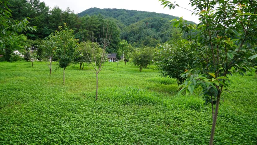 포애뜰 사진 17