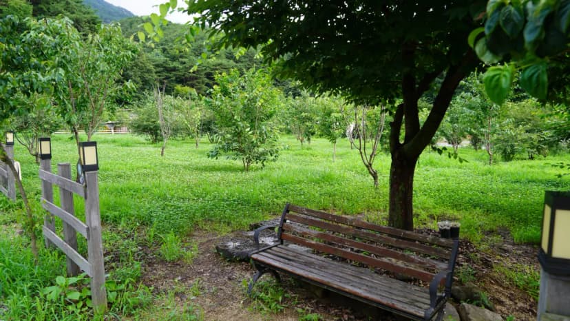 포애뜰 사진 19