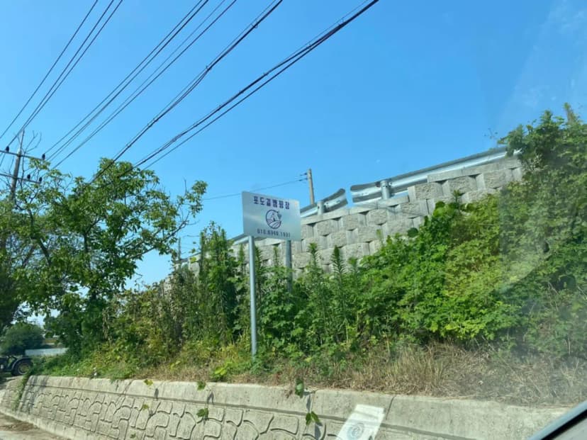 포도길 캠핑장 사진 11