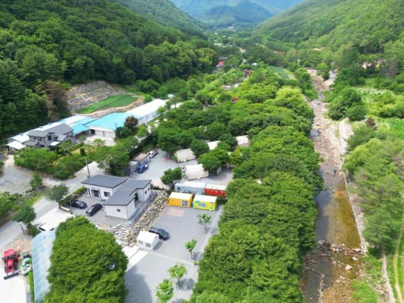 법흥계곡캠핑오늘 사진 2