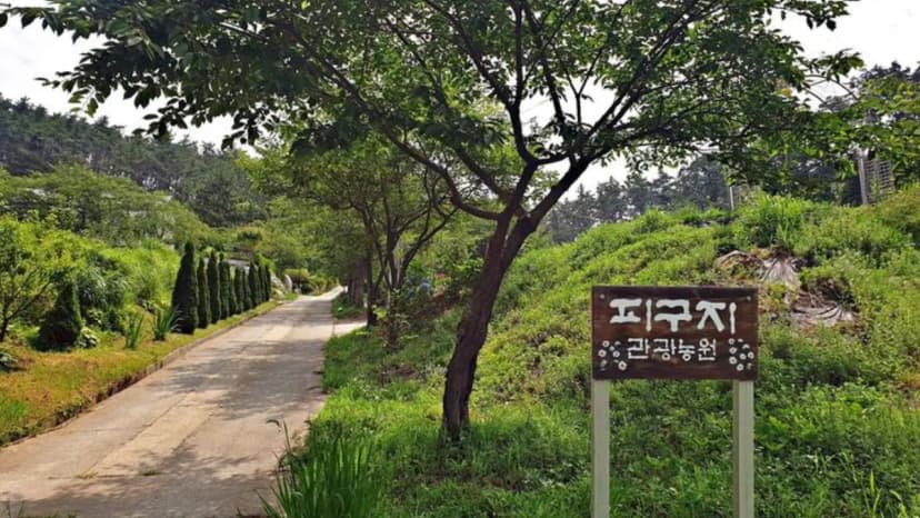 피구지 관광농원 사진 3