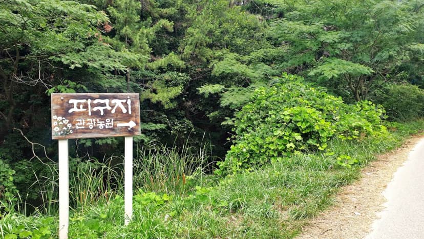 피구지 관광농원 사진 4