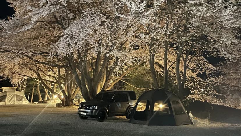 자연과 숲