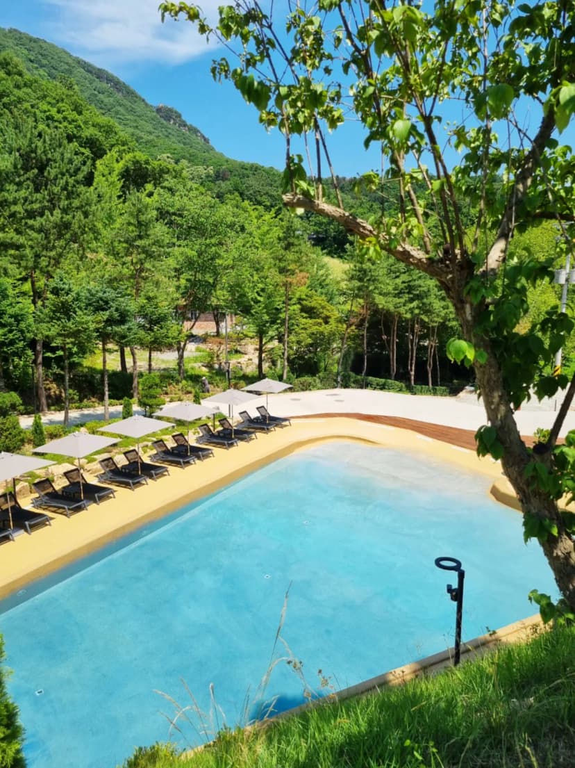 엔더스뷰 사진 5