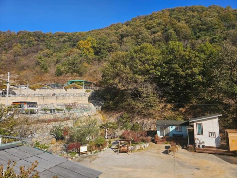 단양 별마루캠핑장 사진 3