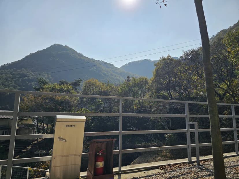 단양 별마루캠핑장 사진 19