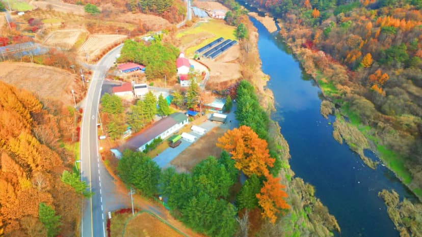 어게인 스쿨 사진 8