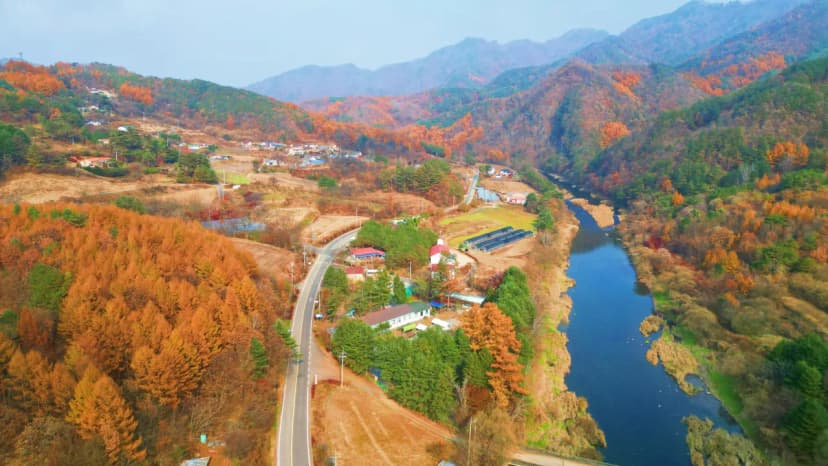어게인 스쿨 사진 9
