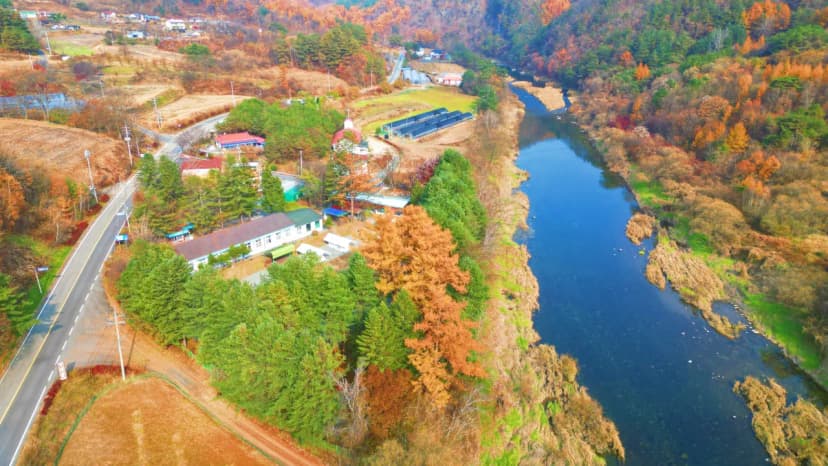 어게인 스쿨 사진 10