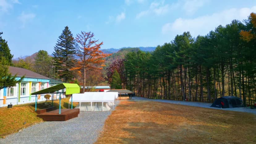 어게인 스쿨 사진 13