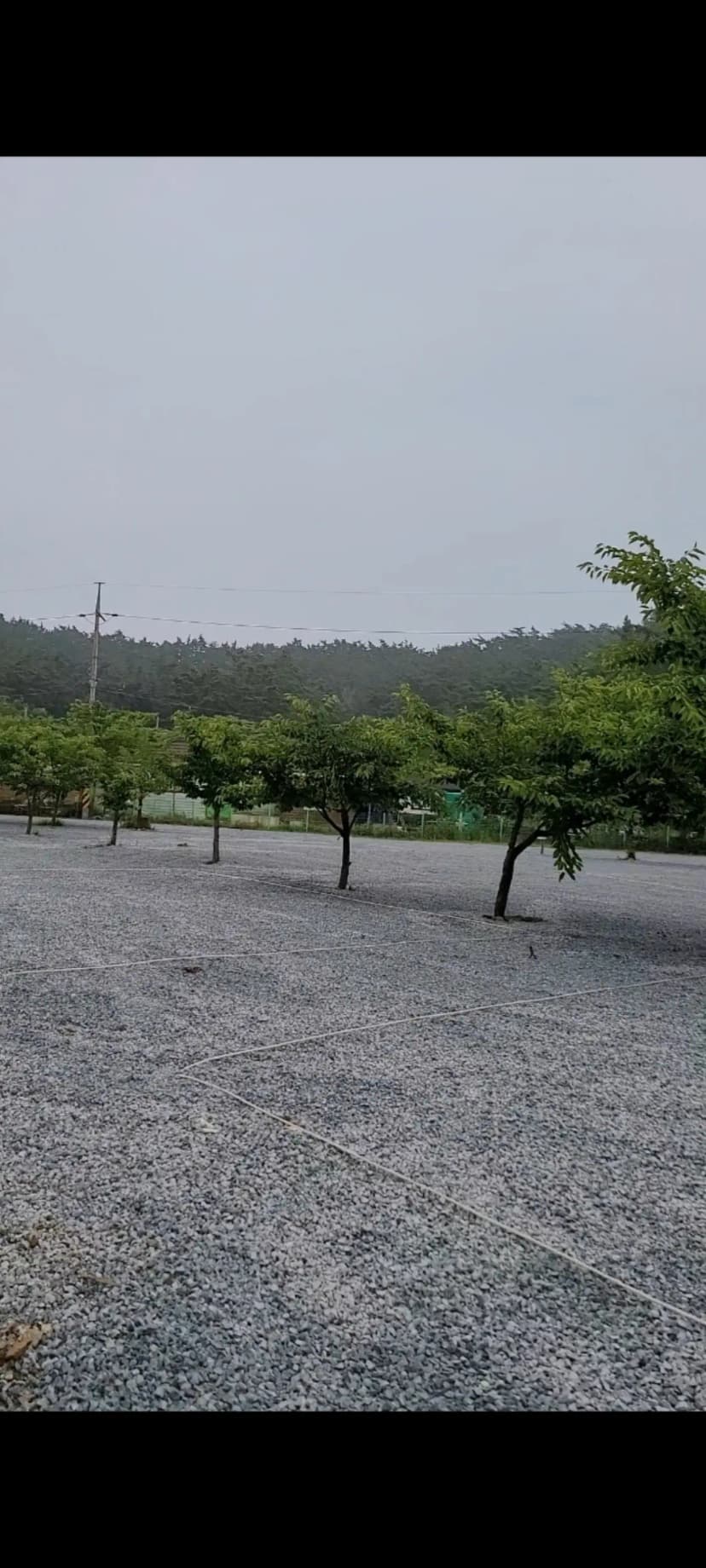 구름포해변캠핑장 사진 4
