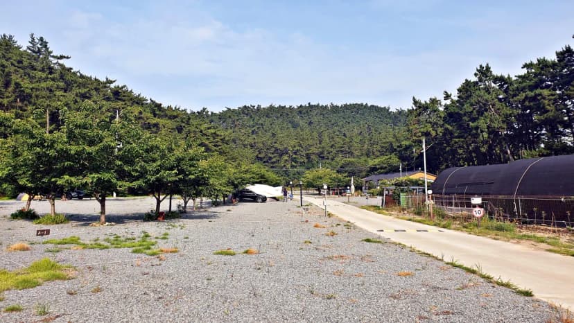 구름포해변캠핑장 사진 8